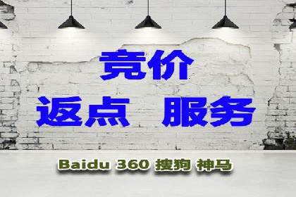 SEM竞价代运营公司案例精选解读